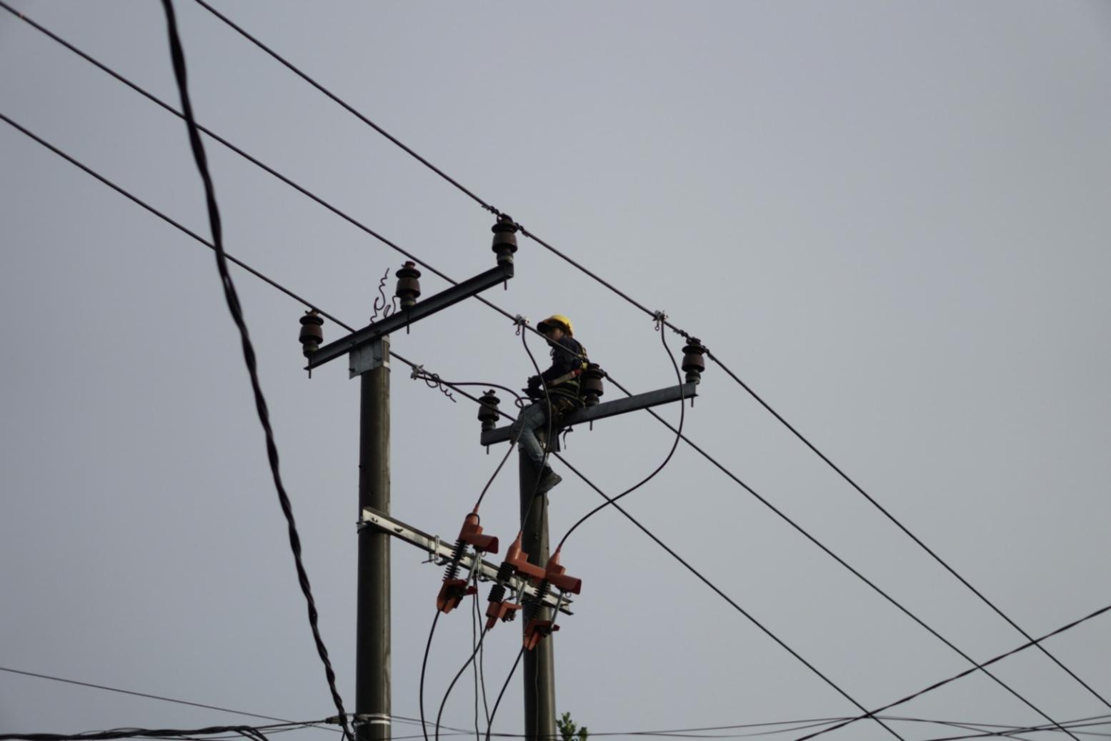 Session de formation en ligne avec analyse de données énergétiques en direct