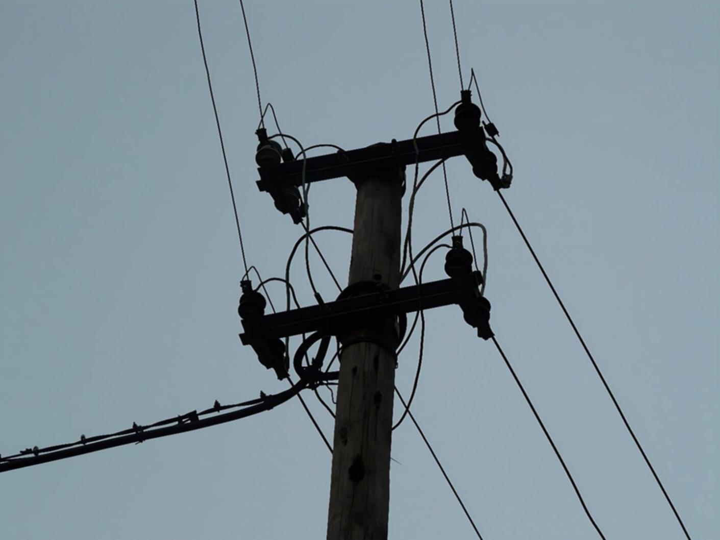 Participant analysant données techniques lors d'atelier pratique